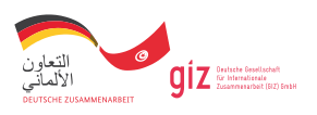 GIZ