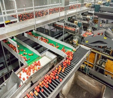 L'agroalimentaire, premier moteur de l'investissement industriel tunisien